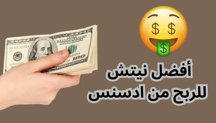 أفضل نيتش مربح