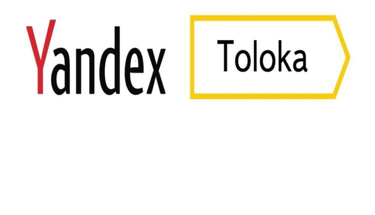 شرح طريقة الربح من Toloka من خلال تنفيذ المهام