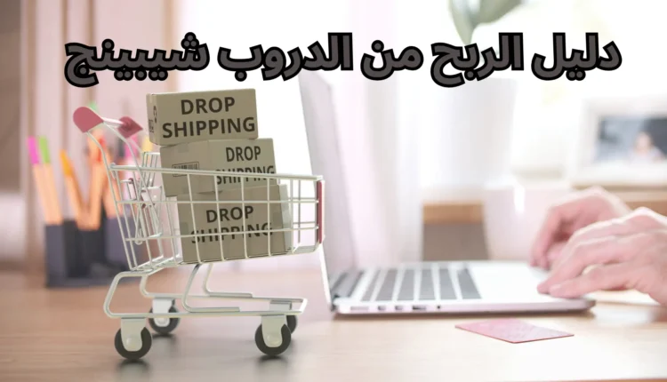 أرباح الدروب شيبنج