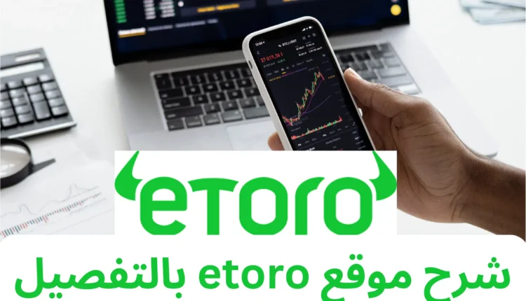 شرح التداول للمبتدئين