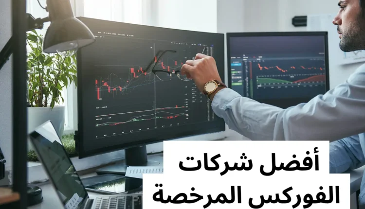 شركات الفوركس المرخصة