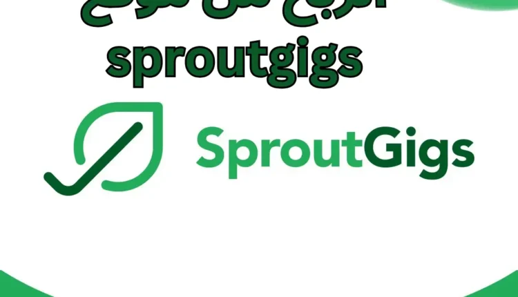 الربح من النت