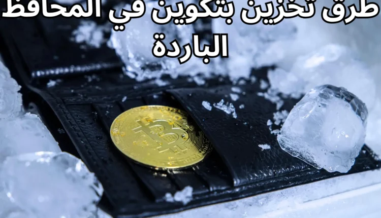 المحفظة الباردة