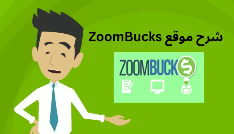 الربح من منصة زووم باكس