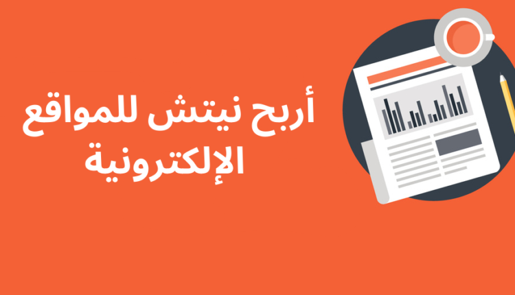 أفضل نيتش مربح 2024