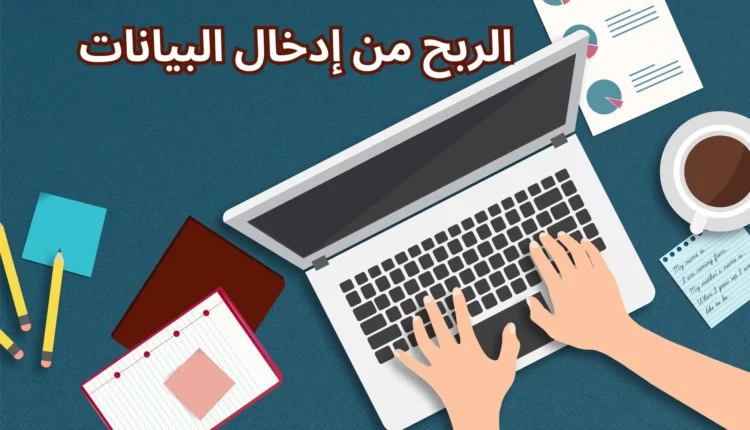 الربح من ادخال البيانات