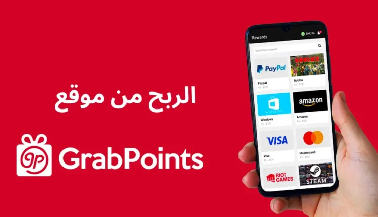 الربح من استطلاعات الرأي